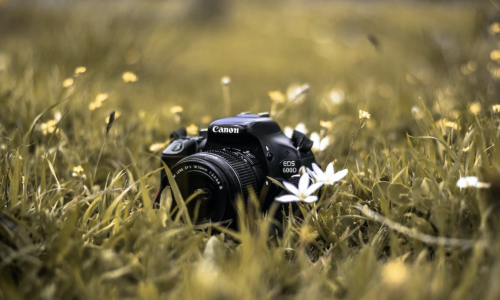 Eco-Friendly Practices in Film Production: Nurturing Creativity with a Green Thumb